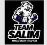 Team Salim